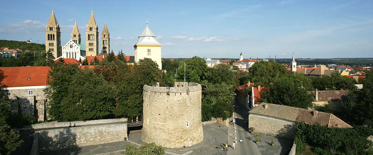 Pécsi Magyar-Orosz Társaság